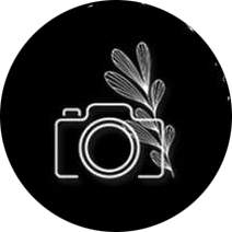 Deep Productions camera logo